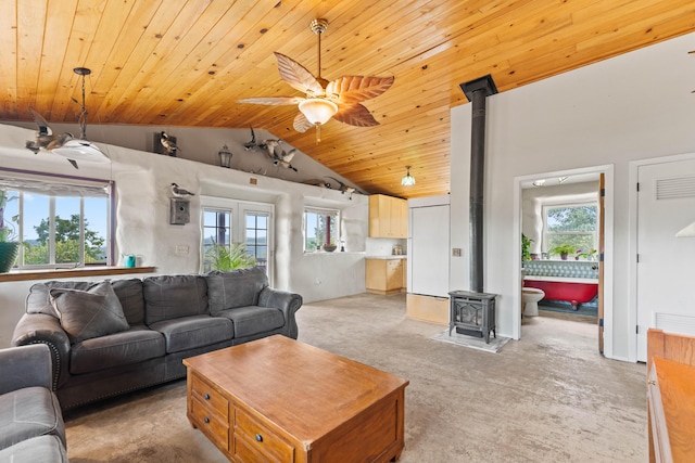 16450 Buzzard Roost Rd, Round Mountain, CA 96084 - photo 9