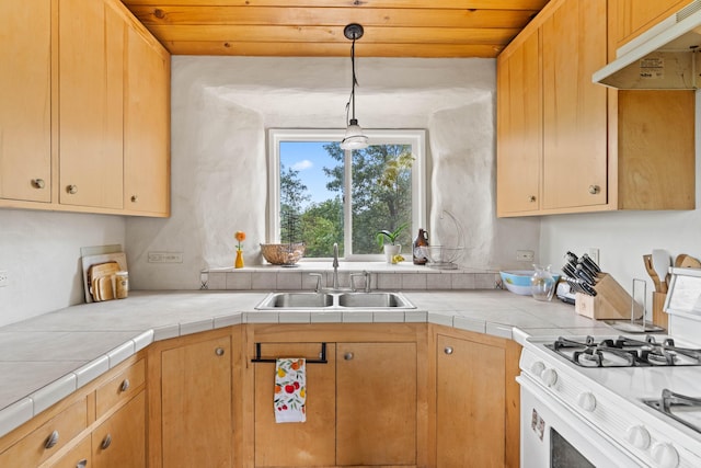16450 Buzzard Roost Rd, Round Mountain, CA 96084 - photo 10