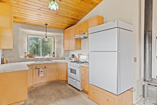 16450 Buzzard Roost Rd, Round Mountain, CA 96084 - photo 11