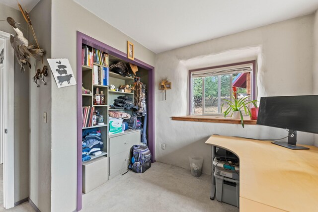 16450 Buzzard Roost Rd, Round Mountain, CA 96084 - photo 15