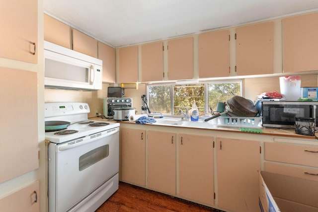 16450 Buzzard Roost Rd, Round Mountain, CA 96084 - photo 26