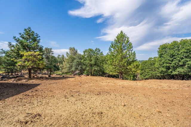 16450 Buzzard Roost Rd, Round Mountain, CA 96084 - photo 43
