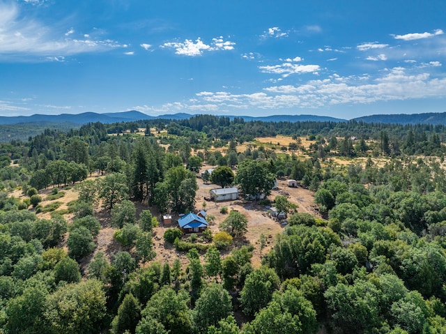 16450 Buzzard Roost Rd, Round Mountain, CA 96084 - photo 46