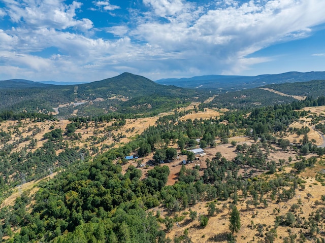 16450 Buzzard Roost Rd, Round Mountain, CA 96084 - photo 47