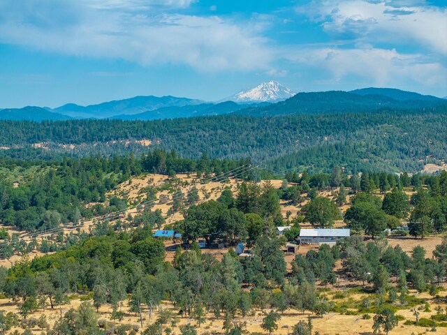 16450 Buzzard Roost Rd, Round Mountain, CA 96084 - photo 48