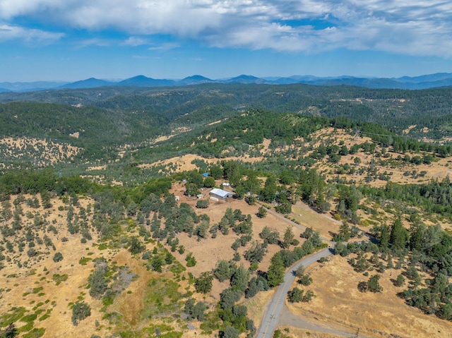 16450 Buzzard Roost Rd, Round Mountain, CA 96084 - photo 49