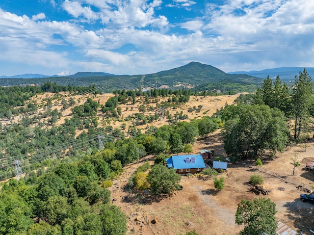 16450 Buzzard Roost Rd, Round Mountain, CA 96084 - photo 50