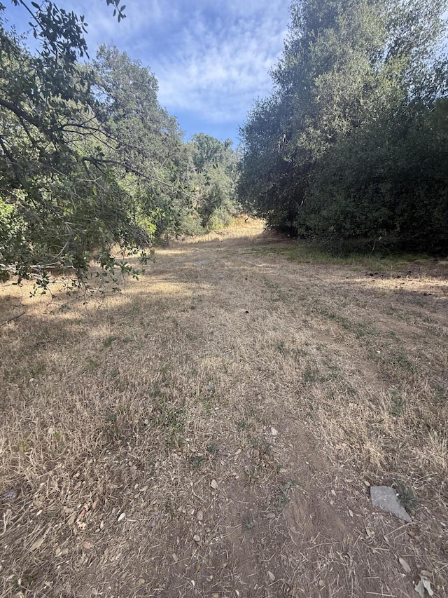 3400 Beacon Dr, Anderson, CA 96007 - view of wooded area