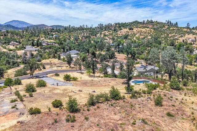 10123 Victoria Dr, Redding, CA 96001 - photo 16