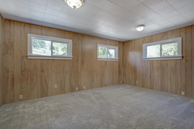 12194 Lake Blvd, Redding, CA 96001 - carpeted empty room with wood walls
