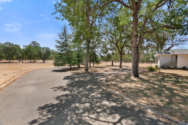 3820 Oak Ln, Cottonwood, CA 96022 - photo 38
