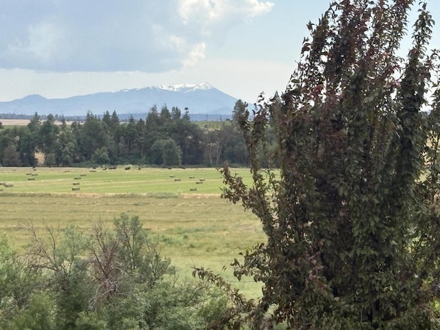 26567 Crabill Ln, Mcarthur, CA 96056 - photo 13