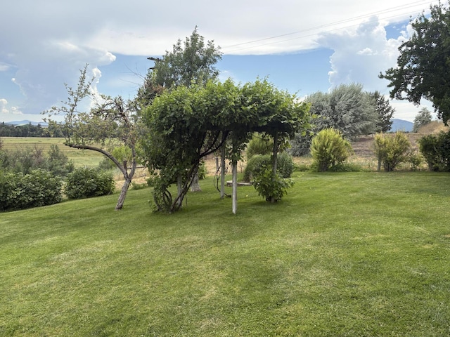 26567 Crabill Ln, Mcarthur, CA 96056 - photo 10