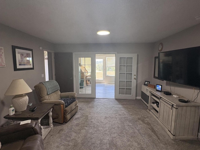 26567 Crabill Ln, Mcarthur, CA 96056 - photo 40