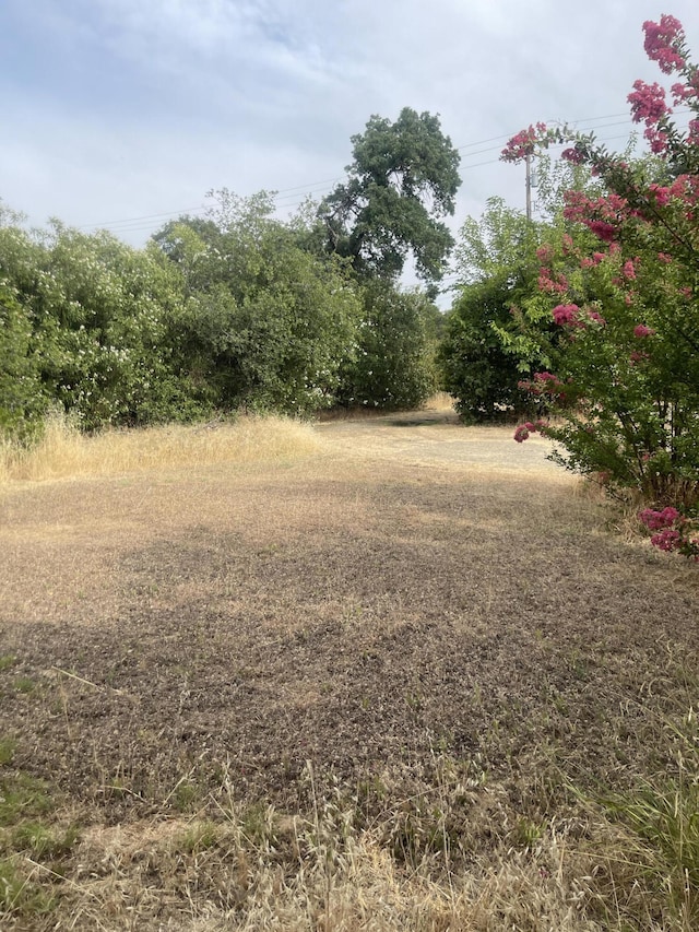 1110 Dusty Ln, Redding, CA 96002 - view of yard