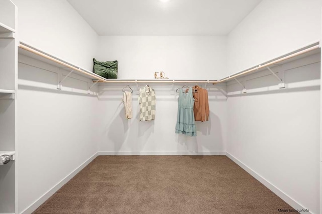 876 Wind Cove Dr, Redding, CA 96001 - spacious closet featuring carpet flooring