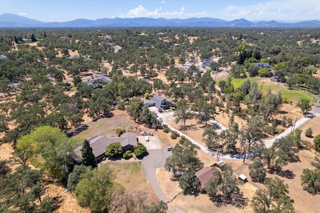 21759 Papoose Dr, Palo Cedro, CA 96073 - photo 36