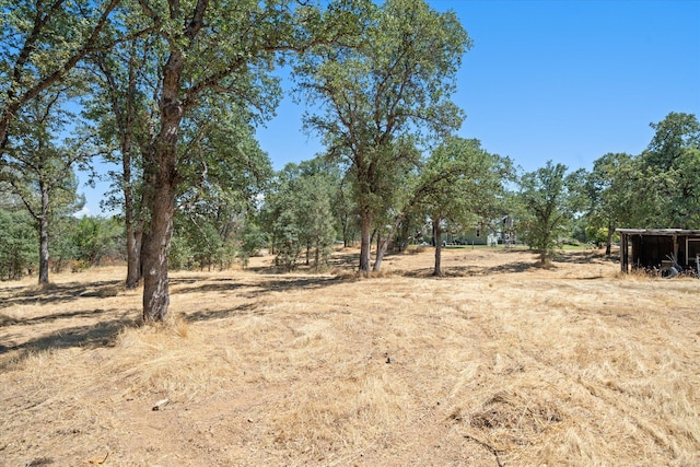 21759 Papoose Dr, Palo Cedro, CA 96073 - photo 57