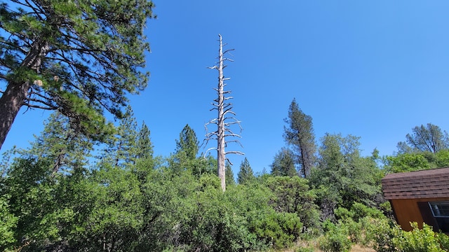 000 Backbone Rd, Bella Vista, CA 96008