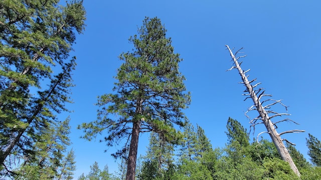 000 Backbone Rd, Bella Vista, CA 96008