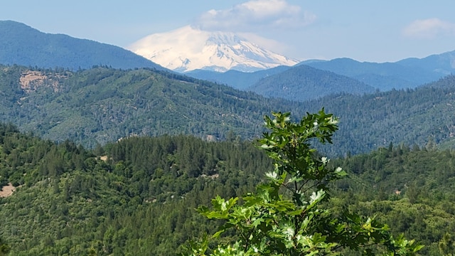 000 Backbone Rd, Bella Vista, CA 96008