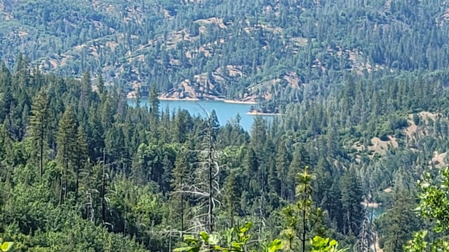 000 Backbone Rd, Bella Vista, CA 96008