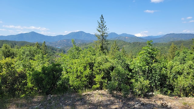 000 Backbone Rd, Bella Vista, CA 96008