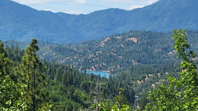 000 Backbone Rd, Bella Vista, CA 96008