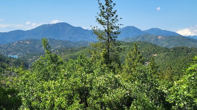 000 Backbone Rd, Bella Vista, CA 96008
