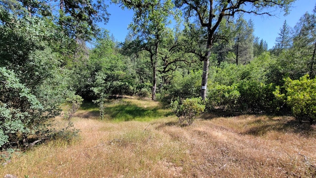 000 Backbone Rd, Bella Vista, CA 96008