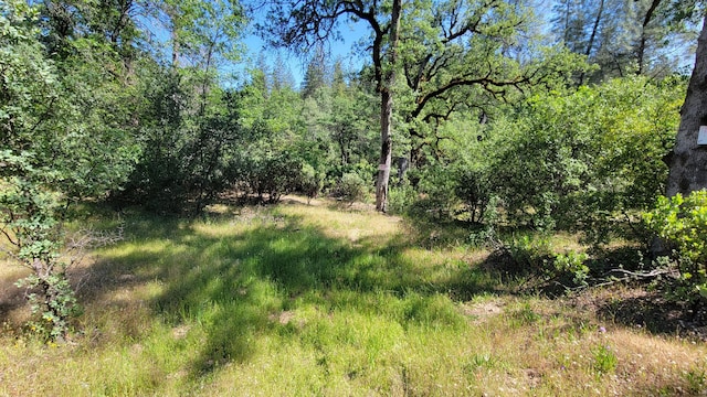 000 Backbone Rd, Bella Vista, CA 96008
