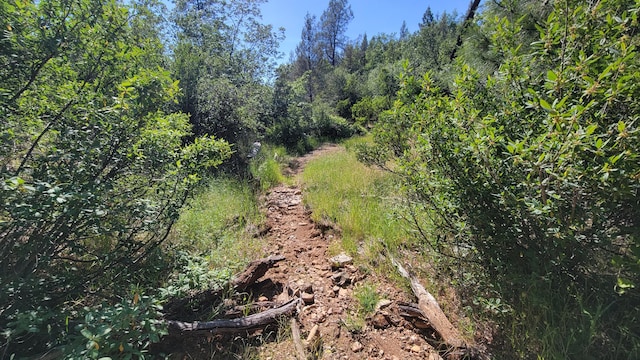 000 Backbone Rd, Bella Vista, CA 96008