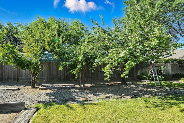 2585 Meadowview Dr, Red Bluff, CA 96080 - view of yard