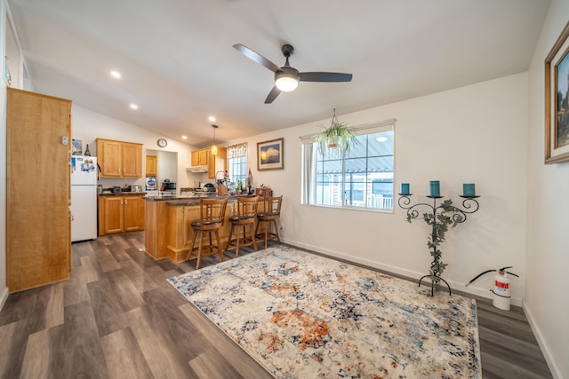 3304 Shasta Dam Blvd Unit 173, Shasta Lake, CA 96019 - kitchen featuring freestanding refrigerator, a peninsula, ceiling fan, a kitchen breakfast bar, and dark wood-style floors