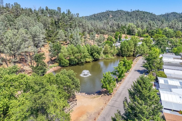 3304 Shasta Dam Blvd Unit 173, Shasta Lake, CA 96019 - bird's eye view of a heavily wooded area and a large body of water