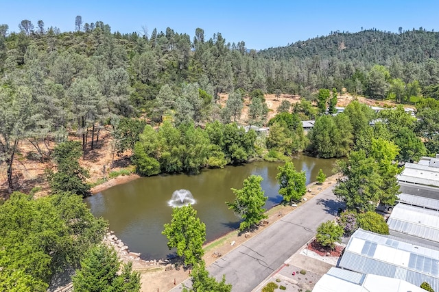3304 Shasta Dam Blvd Unit 173, Shasta Lake, CA 96019 - bird's eye view of a heavily wooded area and a nearby body of water