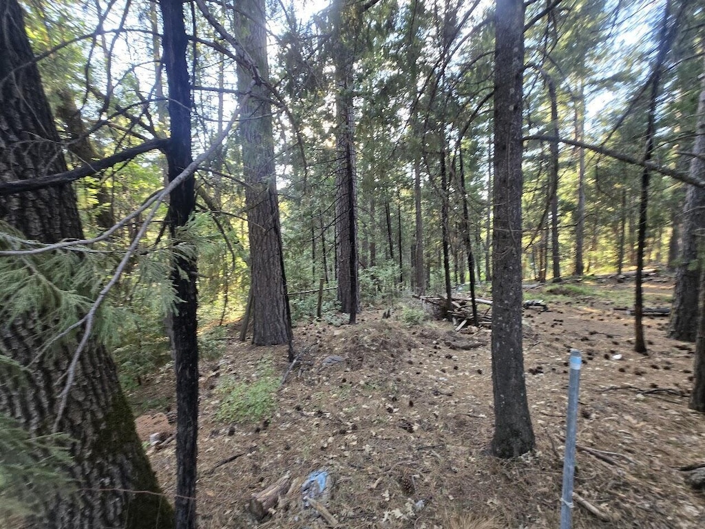 Frontier Rd, Oak Run, CA 96069