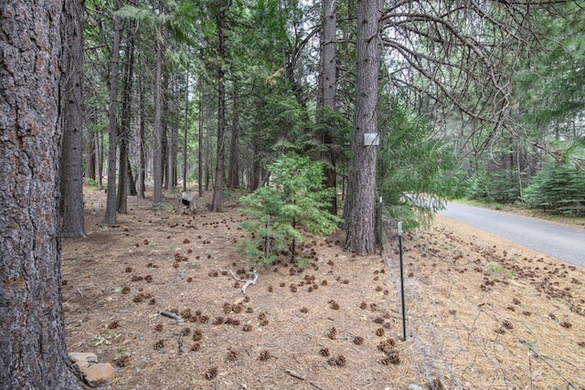 36088 Deer Flat Rd, Shingletown, CA 96088 - view of tree filled area