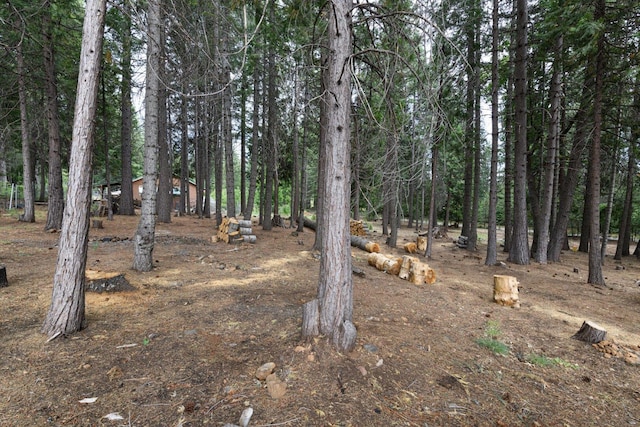 36088 Deer Flat Rd, Shingletown, CA 96088 - view of local wilderness