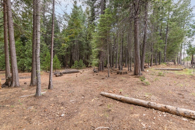 36088 Deer Flat Rd, Shingletown, CA 96088 - view of tree filled area