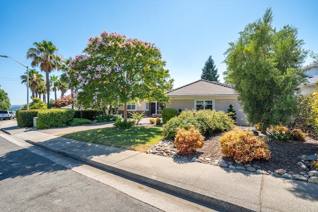 864 River Bend Rd, Redding, CA 96003 - photo 6