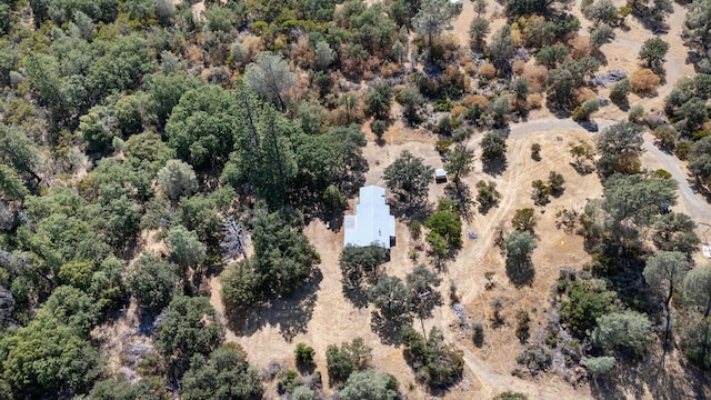 32899 Rock Creek Rd, Manton, CA 96059 - photo 26