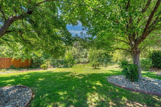 3628 Somerset Ave, Redding, CA 96002 - view of yard