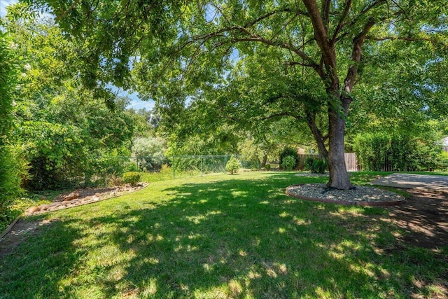 3628 Somerset Ave, Redding, CA 96002 - view of yard