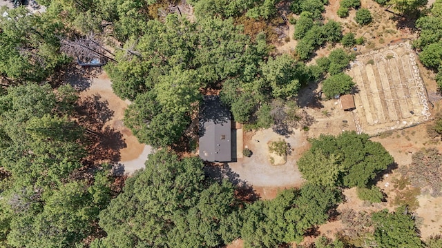 7317 Tahoe Ln, Shingletown, CA 96088