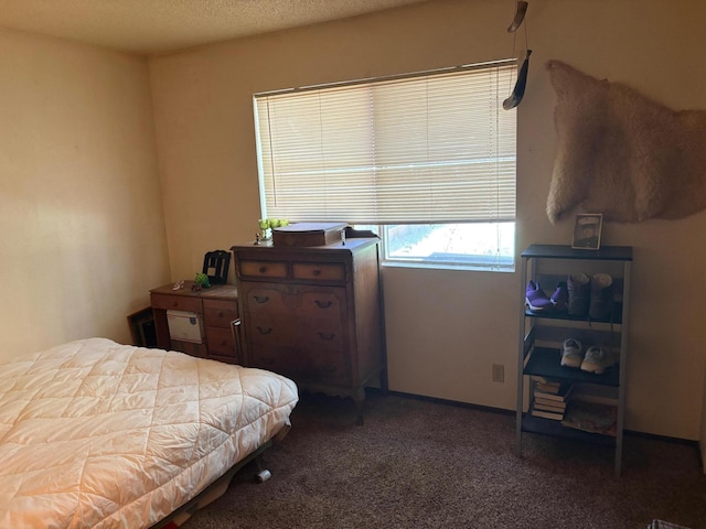 20194 Sugar Pine St, Burney, CA 96013 - view of carpeted bedroom