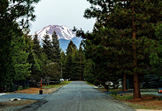 35363 Nehemiah Dr, Shingletown, CA 96088 - view of asphalt road with a mountain view