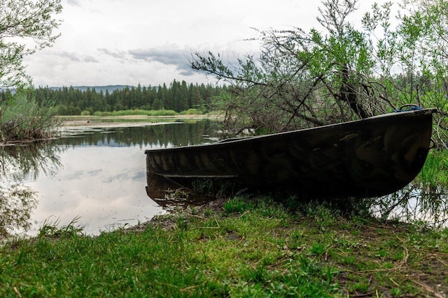 35363 Nehemiah Dr, Shingletown, CA 96088 - water view with a forest