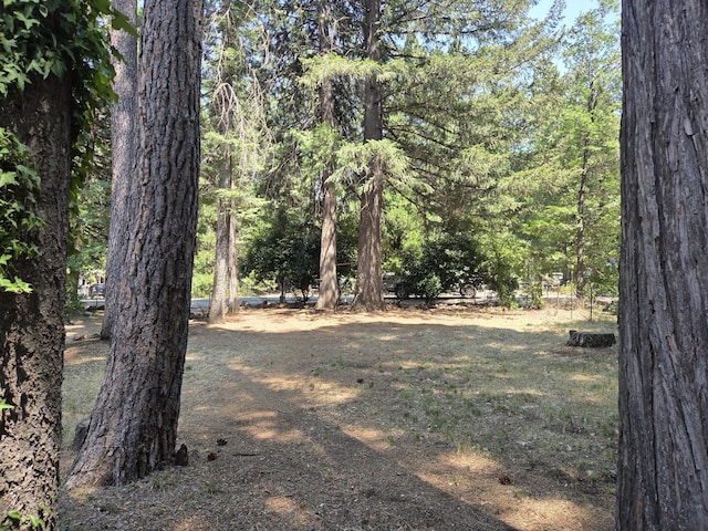 8421 Starlite Pines Rd, Shingletown, CA 96088 - view of woods