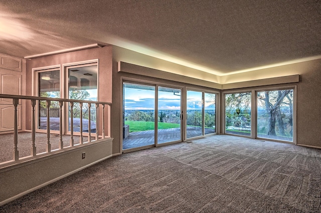 21790 Adobe Rd, Red Bluff, CA 96080 - carpeted spare room with a textured ceiling and a textured wall